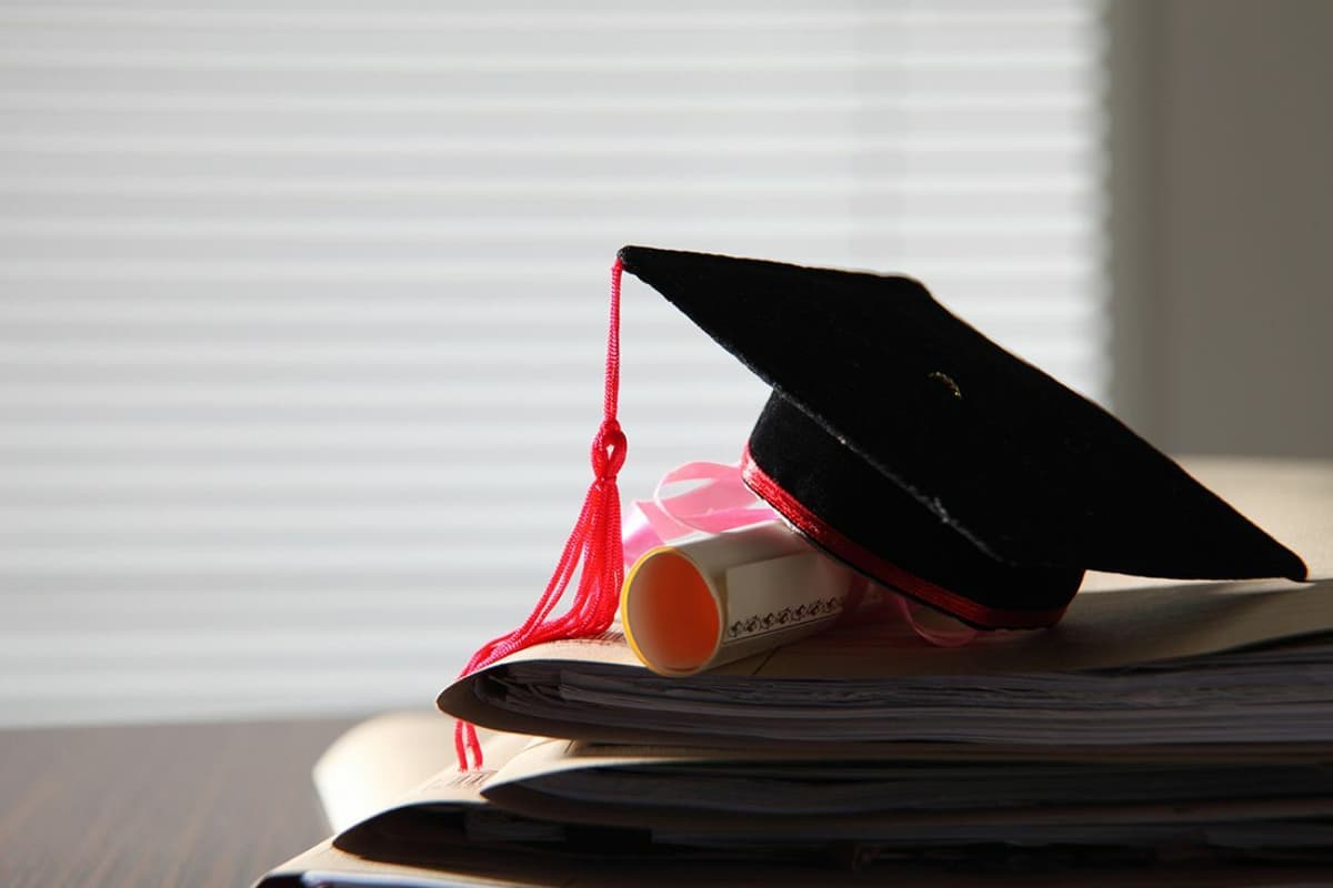 Which universities in Uzbekistan have the highest-earning graduates?