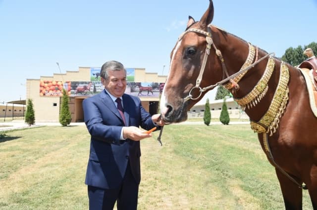 Shavkat Mirziyoyev Toshkent viloyatidagi ot zavodiga bordi