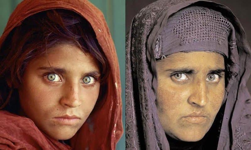 “Afg‘on Mona Lizasi” soxta hujjat olib yurish aybi bilan hibsga olindi