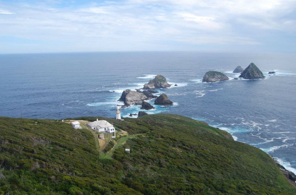 Tasmaniya milliy bog‘i oilaviy juftlikka uy va ish taklif etmoqda