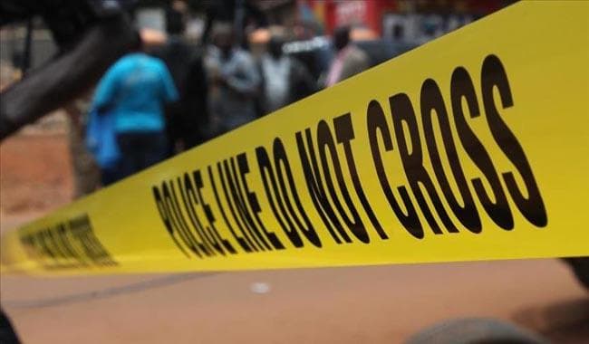 Ugandada sigir ishtirokidagi avtohalokatda 14 kishi halok bo‘ldi