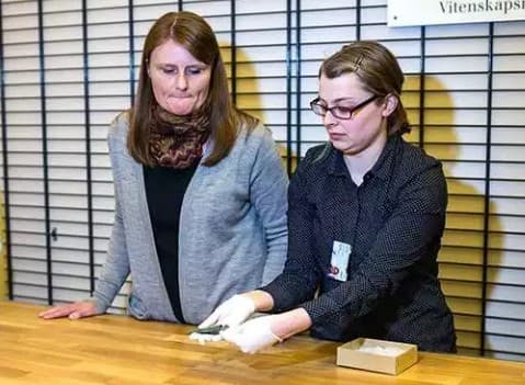 Norvegiyada 3 ming yillik artefaktlar topildi