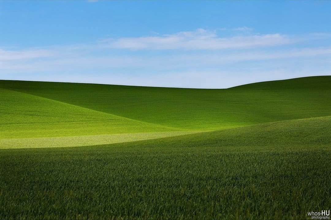 Xitoylik suratkash tasodifan Windows XP fonsuratlarini tasvirga tushirdi