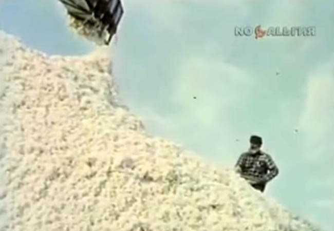 «Hosilni qutqarish kerak» - 30 yil avvalgi dasturdan parcha