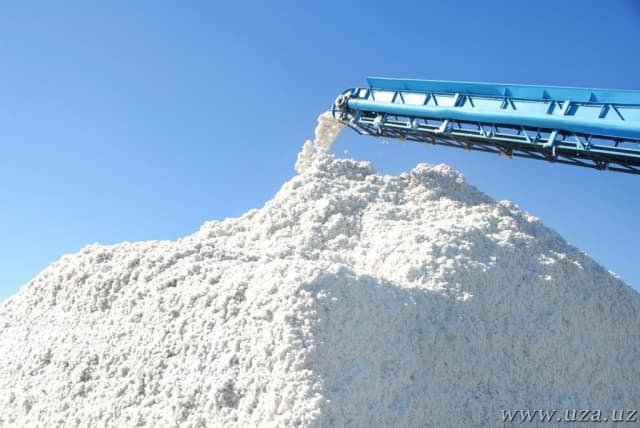 Navoiy viloyati paxta rejasini «to‘ldirdi»