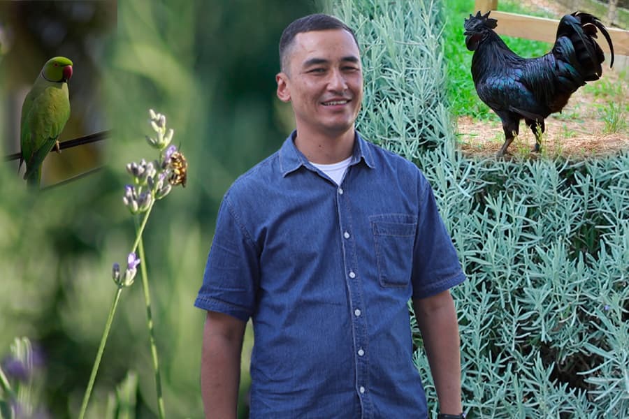 Boy mahalladagi lavandazor: chimyonlik Ilyosbek hikoyasi