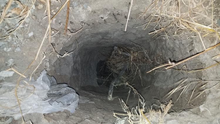 Муҳожирлар Мексикадан АҚШга туннель қазишгани маълум бўлди