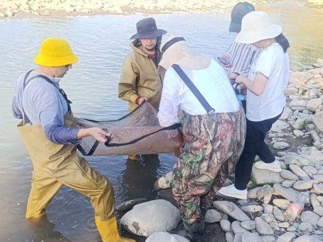 Кампиробод ҳавзасида 14 турдаги балиқ аниқланди