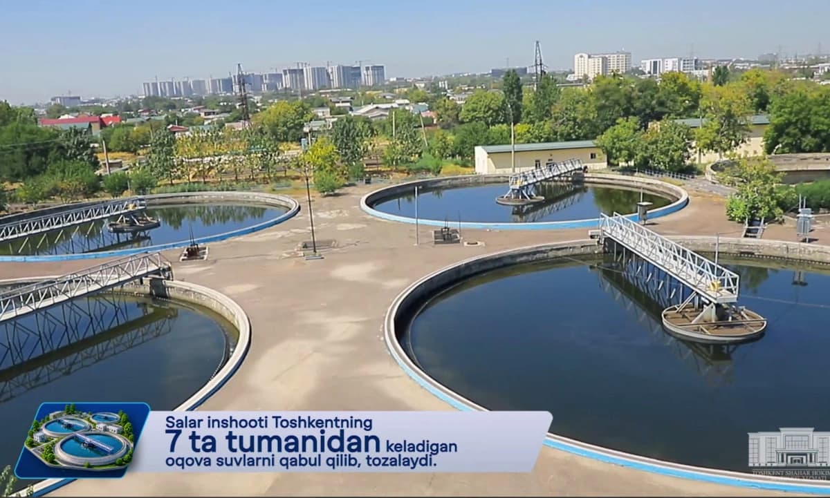 Салардаги нохуш ҳид муаммоси қандай ҳал қилинди?