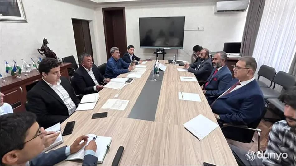 Jizzaxda 500 gektarlik zaytunzor barpo etiladi