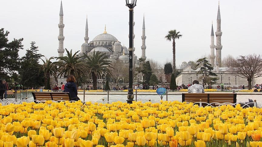 Istanbulda Lolalar festivali bo‘lib o‘tadi