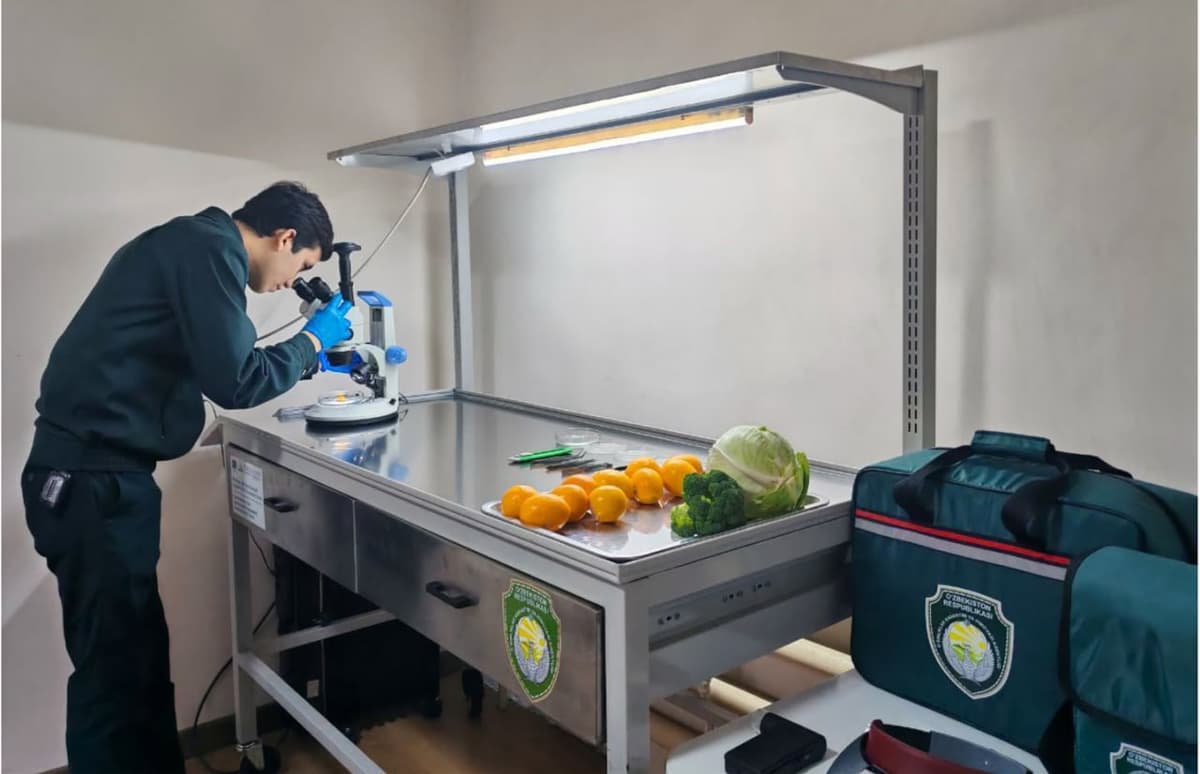 Uzbekistan to tighten phytosanitary checks on export shipments after hundreds of foreign complaints