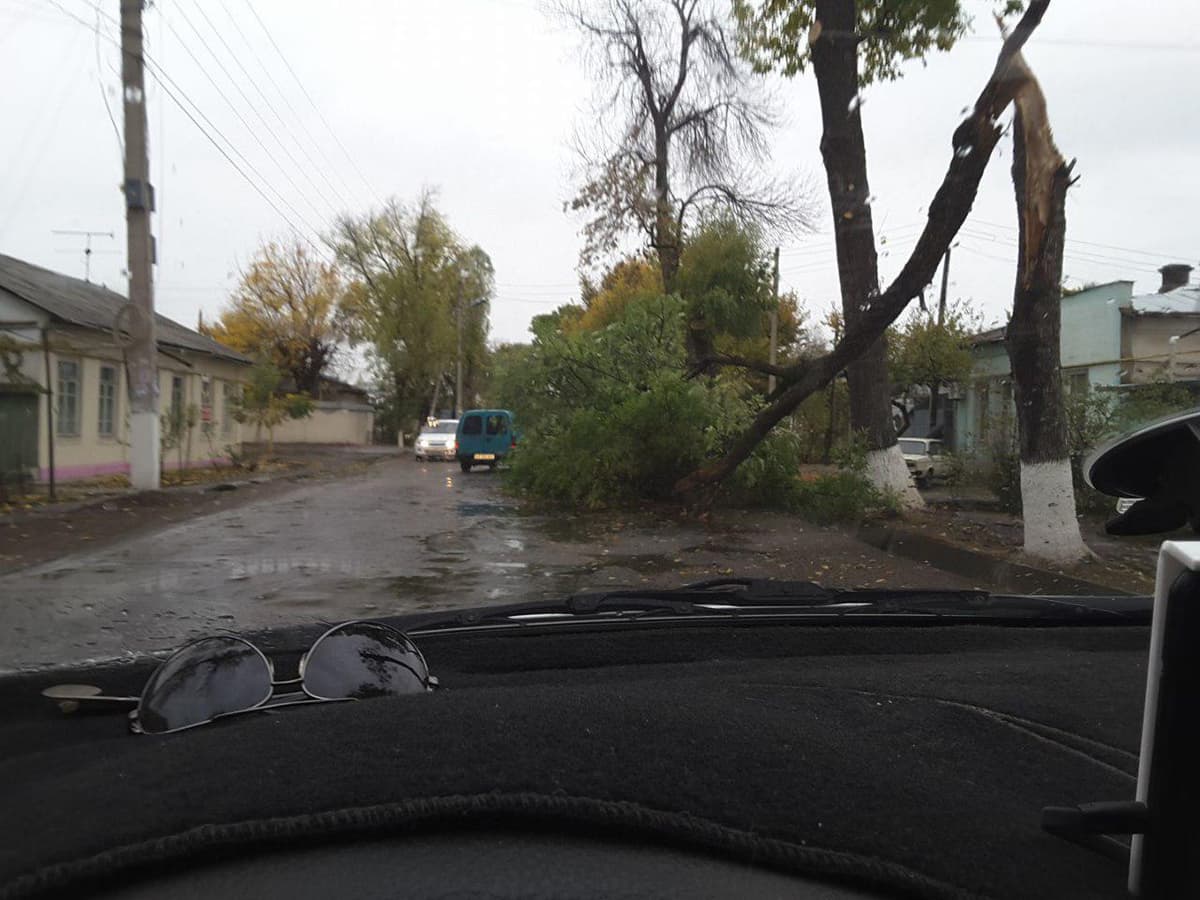 Kuchli shamol vaqtida o‘zini qanday tutish kerak?