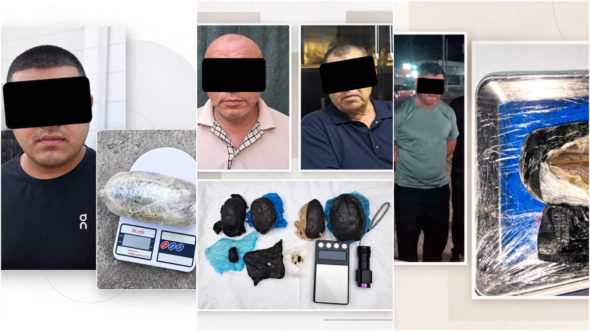 Namanganda avtomashinalar va yertoʻladan gashish topildi