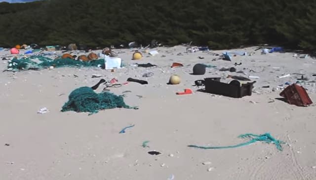 Tinch okeanidagi kimsasiz orolda 18 tonna plastik chiqindi aniqlandi