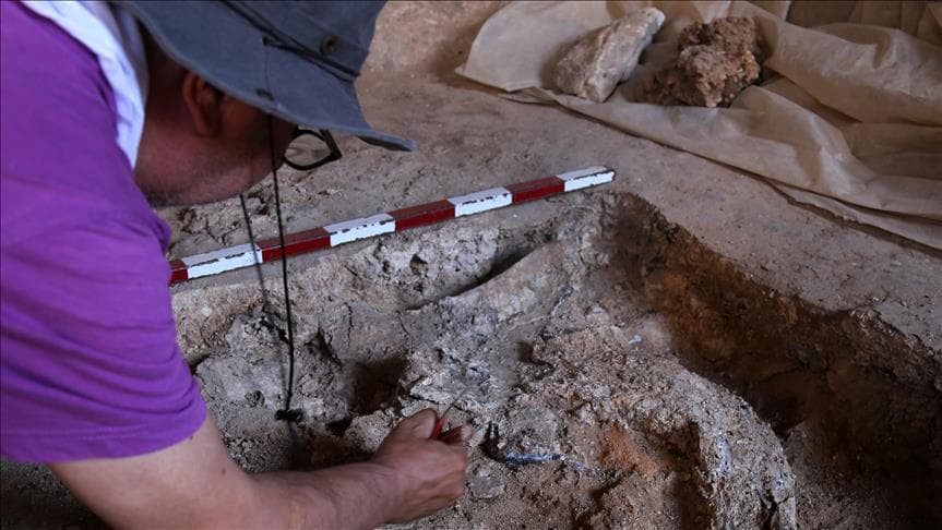 Turk arxeologlari muhim topilmalar haqida ma'lum qilishdi