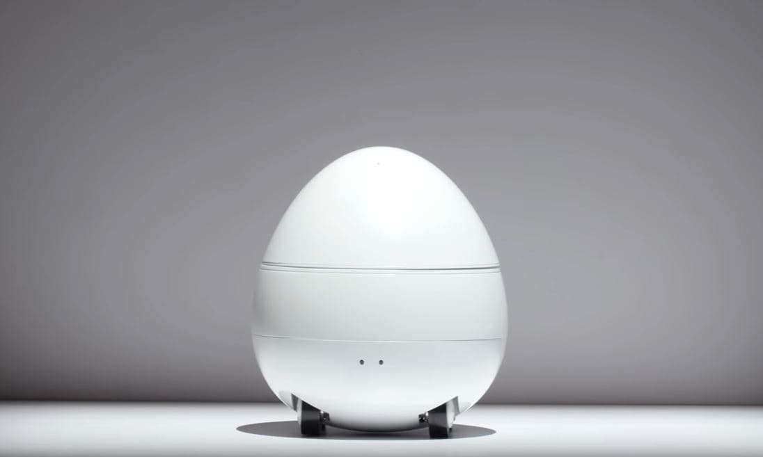 Kun videosi: Panasonic’dan yangi robot-tuxum