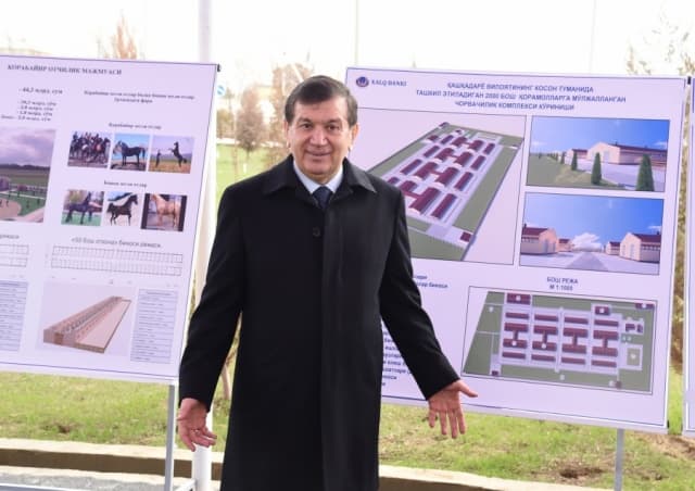 Shavkat Mirziyoyev: odamlarga daromad manbai yaratish kerak