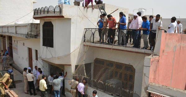 Hindistonda qoplon besh soat davomida butunboshli shahar aholisini sarosimaga solib qo‘ydi