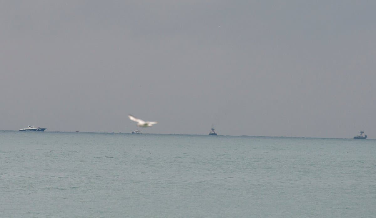 Tu-154 halokatga uchragan joydan 5 kishining jasadi topildi