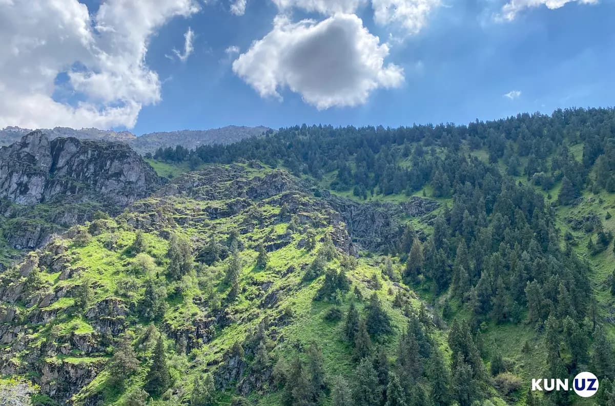 GCF Özbekiston ekologiyasi uçun 103,7 mln yevro ajratadi
