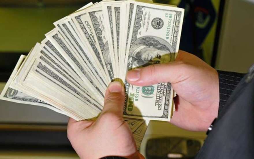 O‘zbekistonda Turkiyadan qalbaki dollar olib kelayotganlar ushlandi  