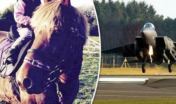 Buyuk Britaniyada otlar qiruvchi samolyotlar uchib o‘tgandan keyin nobud bo‘ldi 