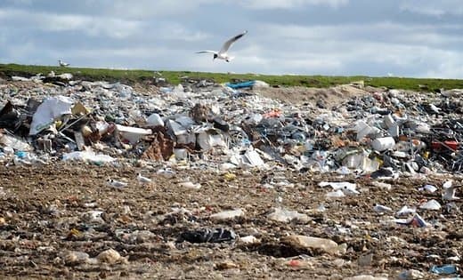 Polshada chiqindixonada yarim million yevro topib olindi