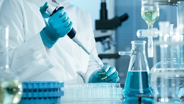 Biologlar o‘latning yo‘qolib ketmagani sababini aniqlashdi