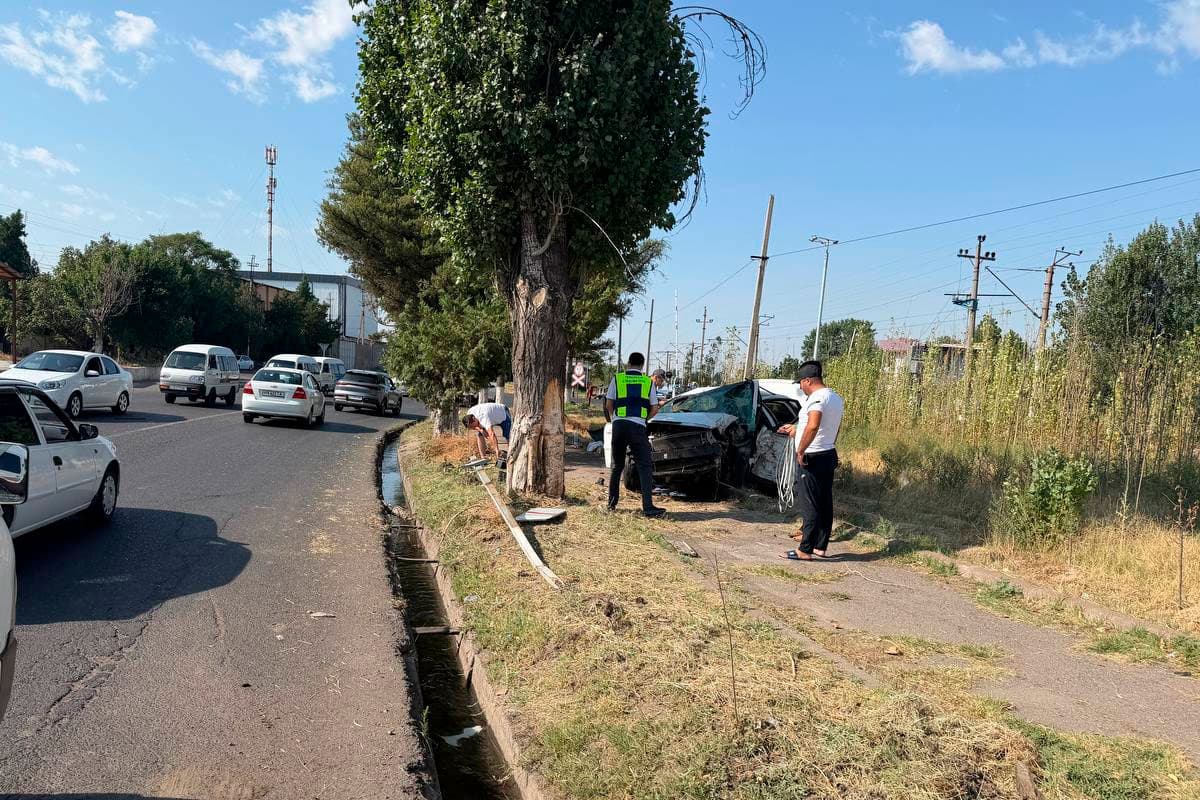 В Чирчике водитель Lacetti разбился насмерть, врезавшись в дерево