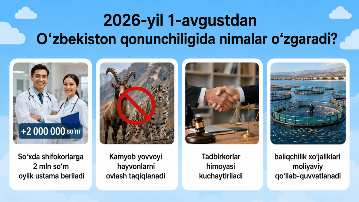 Tadbirkorlar himoyasida yangi bosqich, So‘xda shifokorlarga ustama va kamyob hayvonlarga ov taqiqi: 1 avgustdan nimalar o‘zgaradi?