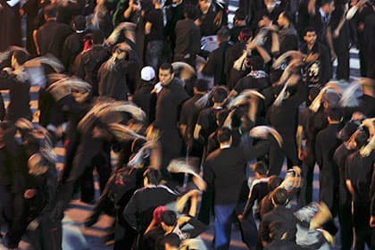 OAV: Saudiya Arabistoni shahzodasi darralandi