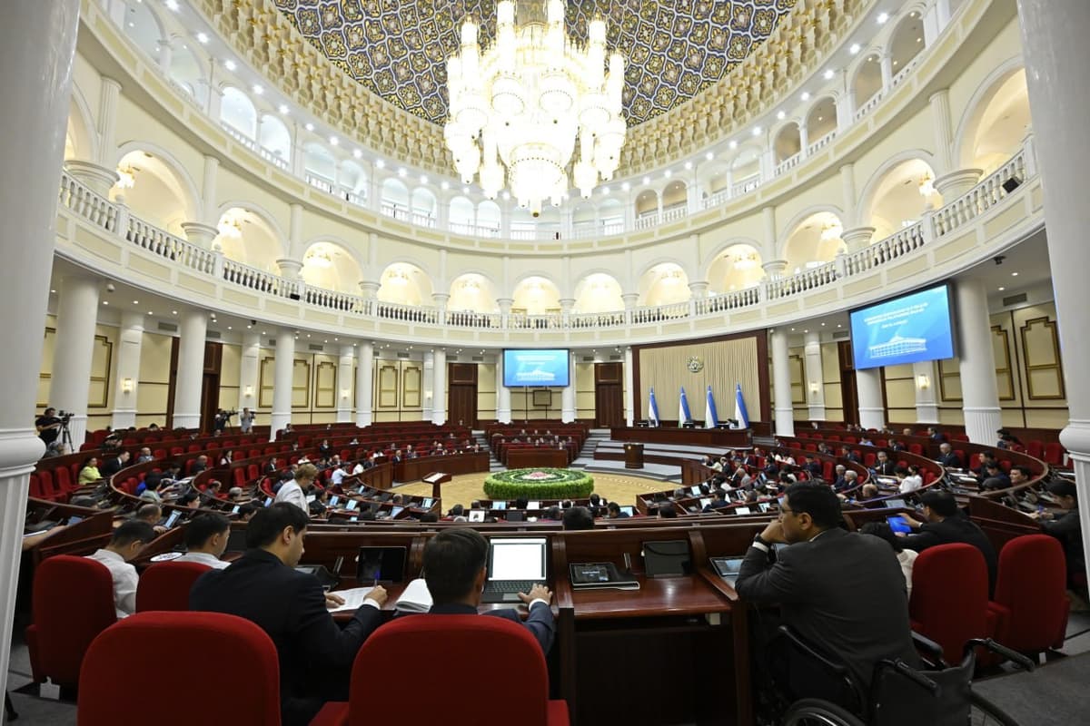 Депутаты одобрили проект конституционного закона, определяющего механизмы работы Администрации президента