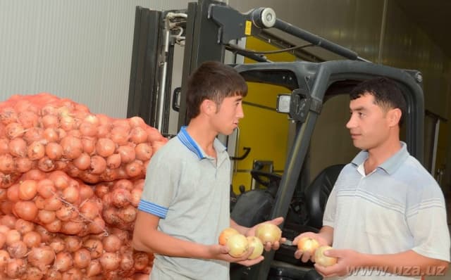 Qish va bahor oylarida ichki bozorda qishloq xo‘jaligi mahsulotlarida uzilish bo‘lmaydi