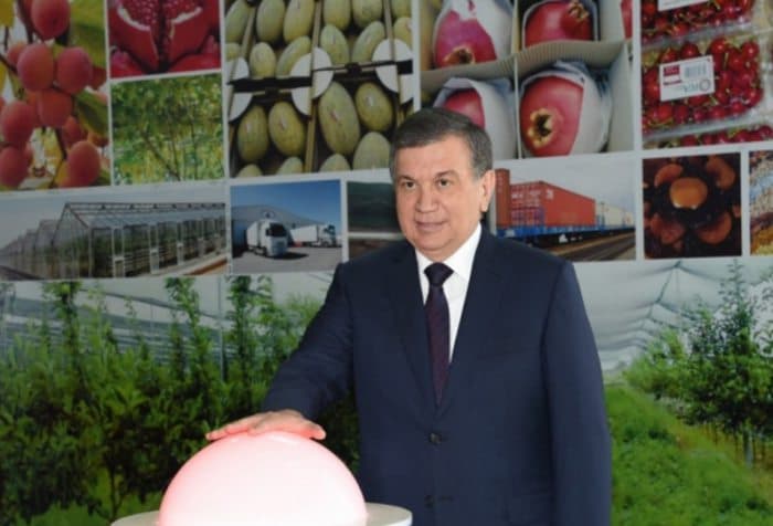 Shavkat Mirziyoyev Andijonda yirik logistika kompleksi loyihasi bilan tanishdi