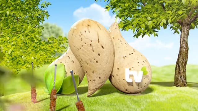O‘zbekistonda  yangi "Milliy" (MTV) telekanali ishga tushiriladi