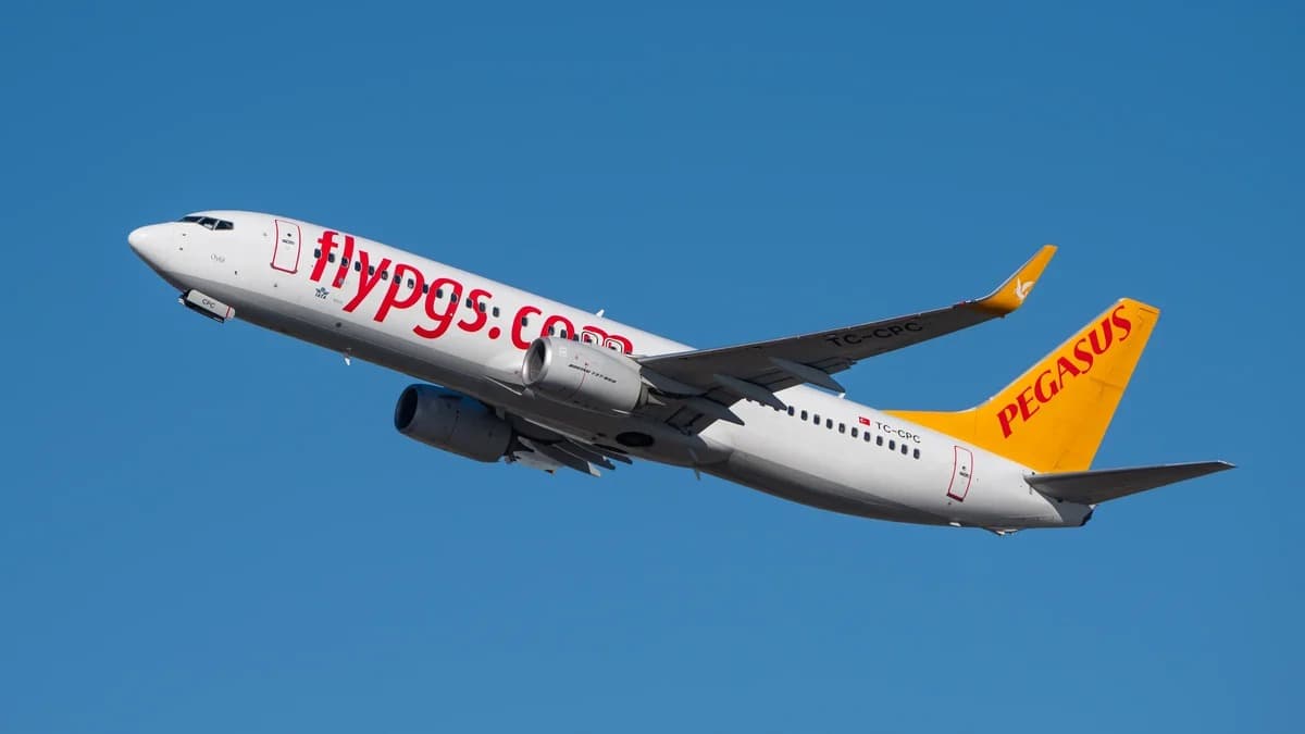Туркиянинг Pegasus Airlines лоукостери Ўзбекистонга парвозларни йўлга қўяди