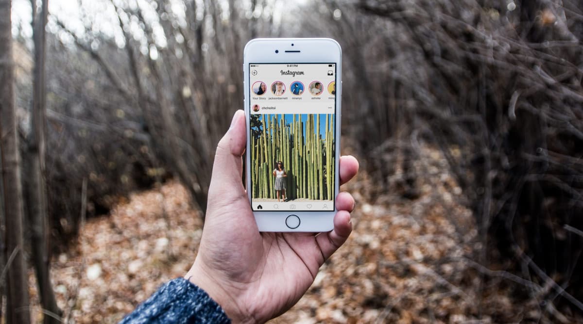 Instagram’da jonli translyatsiyalar sinovdan o‘tkazilayotgani alomatlari aniqlandi 