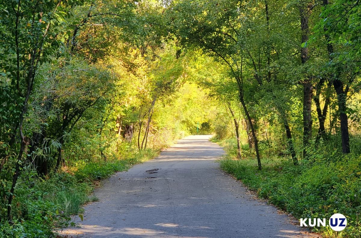 Senate passes law prohibiting the privatization of parks and boulevards