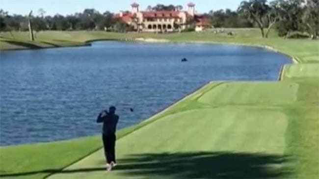 Golfchi uchib o‘tayotgan qushni tasodifan o‘ldirib qo‘ydi (video)