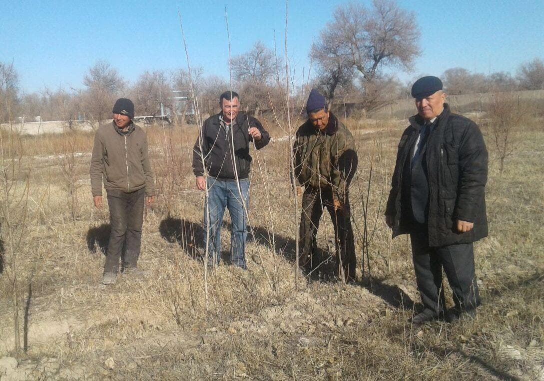 Orolni qutqarish mumkin: o‘zbek olimi buning loyihasini taqdim etdi