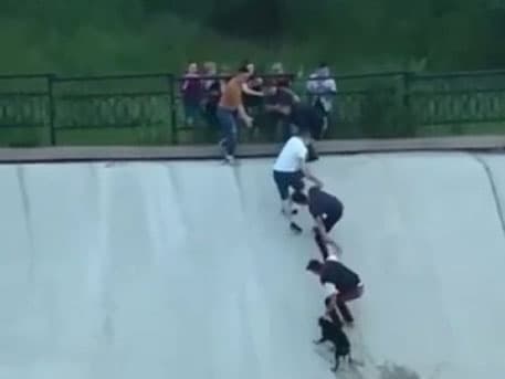 Olmaotada odamlar itni qutqarish uchun "tirik zanjir" bo‘lib tizilib turishdi