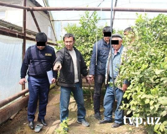 Toshkent viloyatida ikki kishi qotili umrbod ozodlikdan mahrum etildi