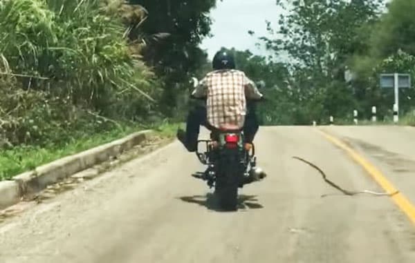 Video: Ilon yo‘lda harakatlanayotgan mototsiklchiga hujum qildi