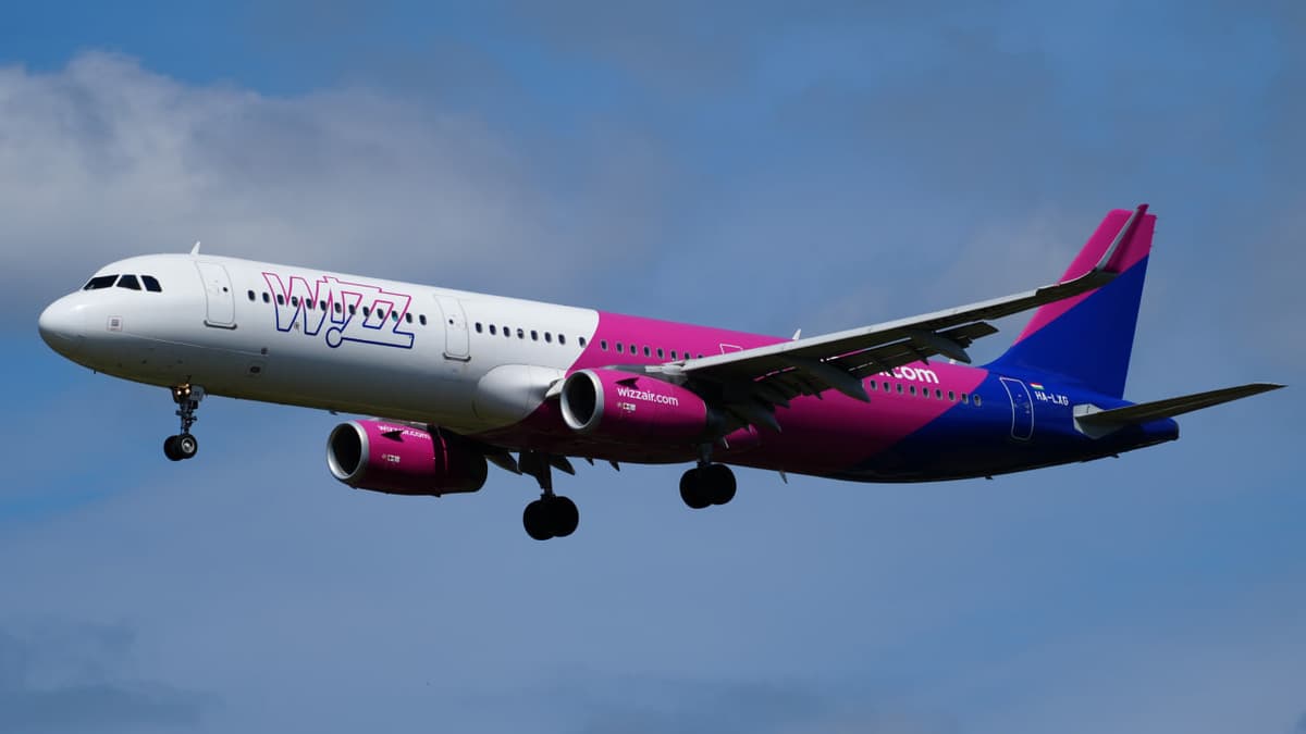 WizzAir предлагает создать совместную авиакомпанию в Узбекистане