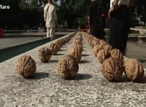 Kung-fu ustasi qo‘llar bilan yong‘oq chaqish bo‘yicha rekord o‘rnatdi