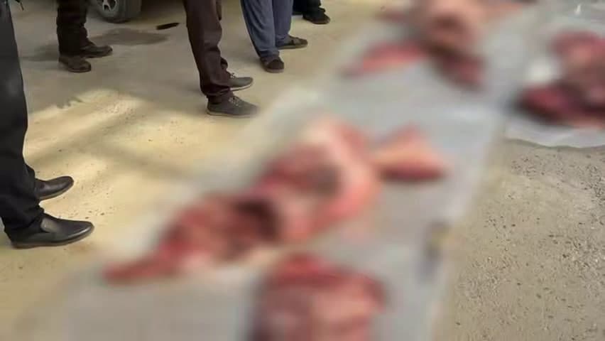 Сурхондарёда Қизил китобга киритилган айиқ ва тўнғизларни ноқонуний овлаганларга нисбатан жиноят иши қўзғатилди