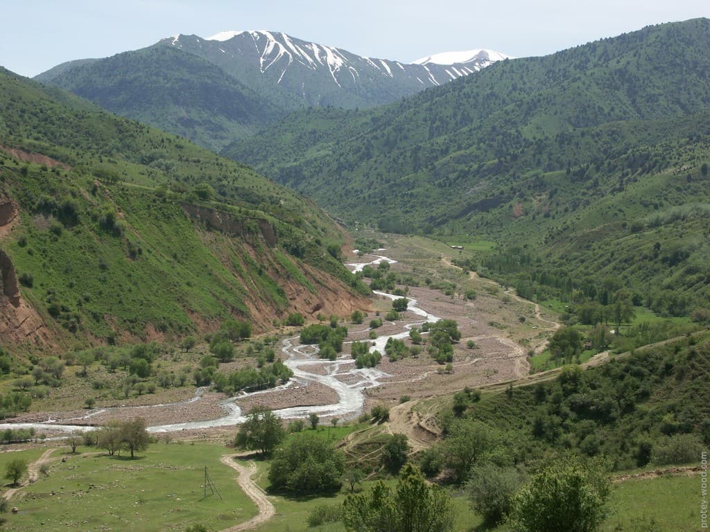 O‘rmon xo‘jaligi ilmiy-tadqiqot institutining Andijon filiali tashkil etildi