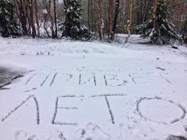 Fotojamlanma: Iyun qori 