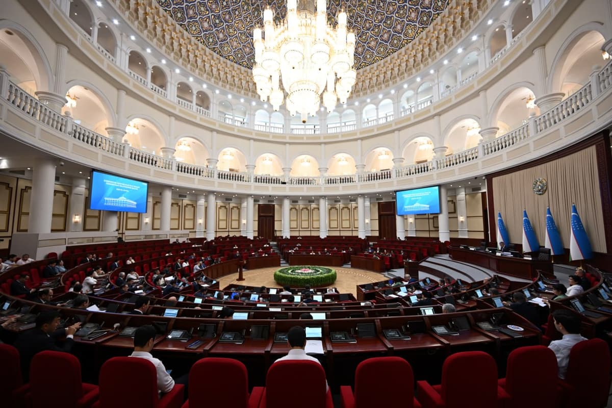 Parliament approves stronger legal safeguards for Uzbekistan's forest lands